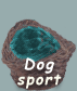 Dogsport